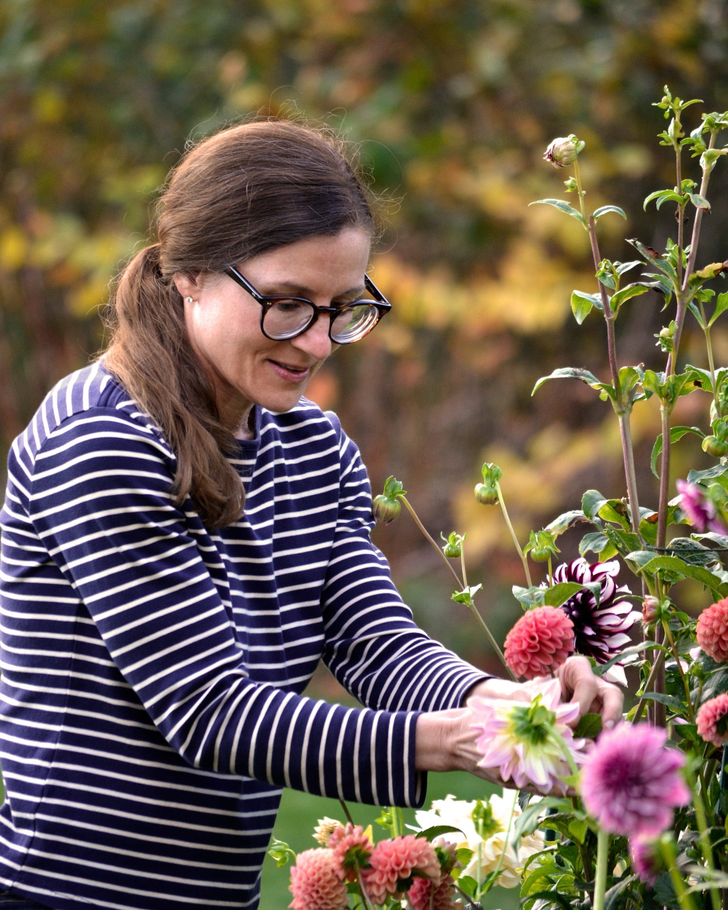 Colee Wilkinson in stripped shirt tending flower garden